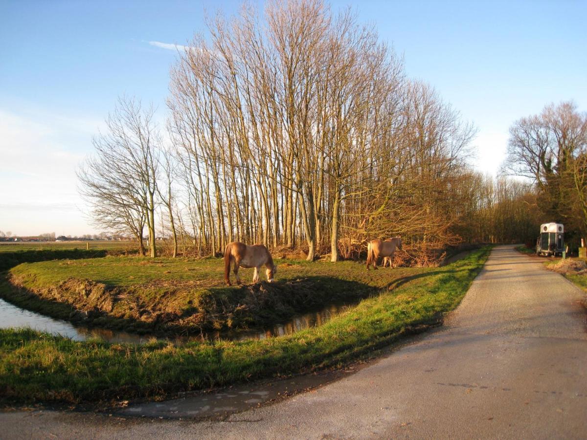 Haus Kormoran Am Lauwersmeer 175 Anjum Kültér fotó