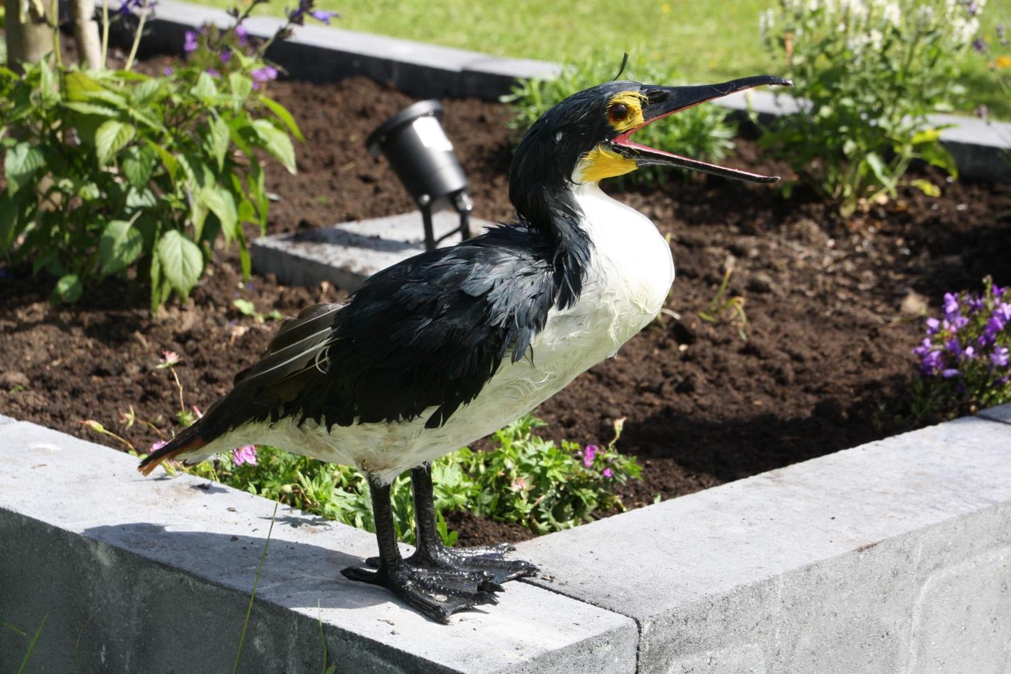 Haus Kormoran Am Lauwersmeer 175 Anjum Kültér fotó